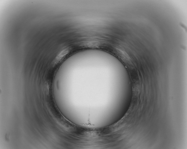 X0000095880120200801251149