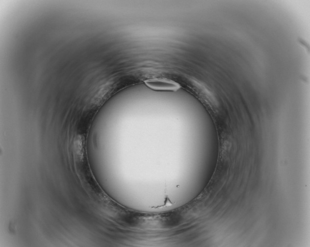 X0000095880121200801251149