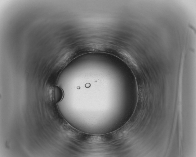 X0000095880123200801251149