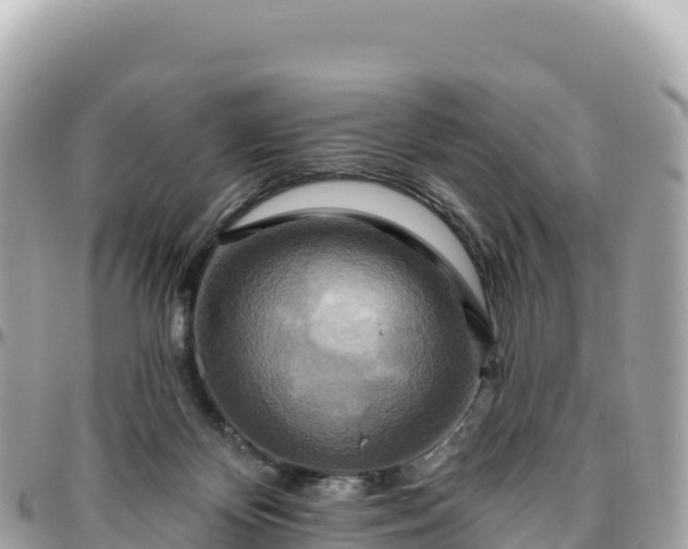 X0000095880124200801251149