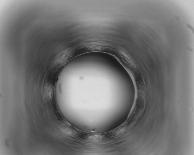 X0000095880125200801251149