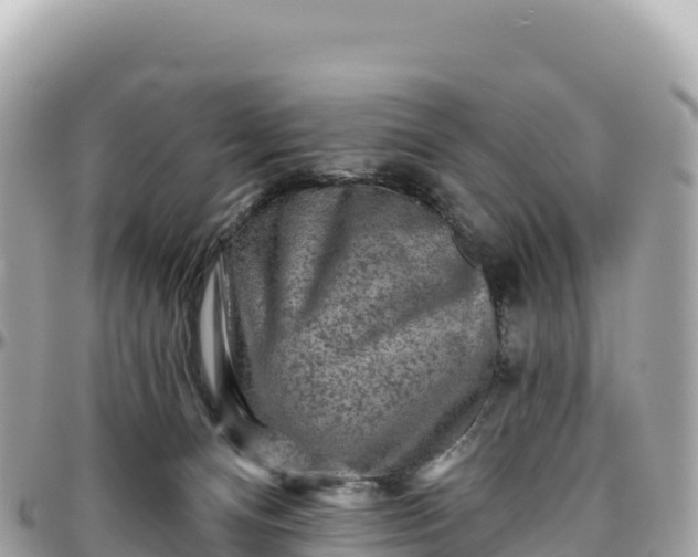 X0000095880128200801251149