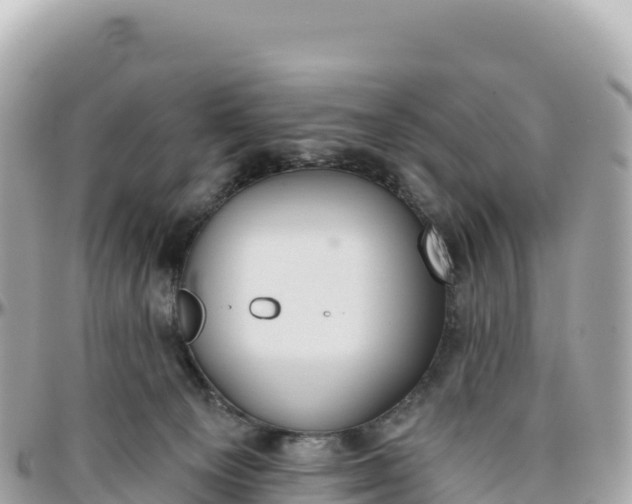 X0000095880129200801251149