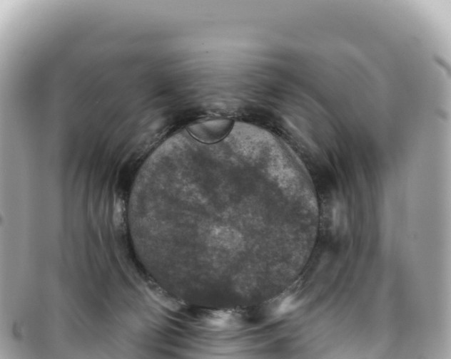 X0000095880130200801251149