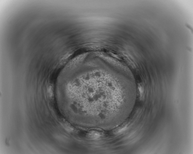 X0000095880131200801251148