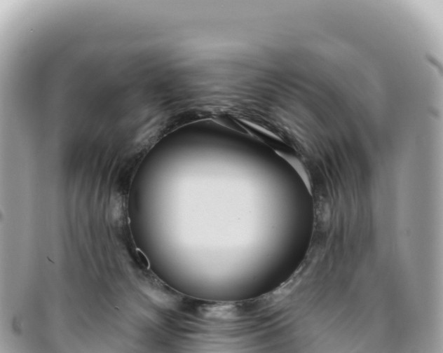 X0000095880132200801251148