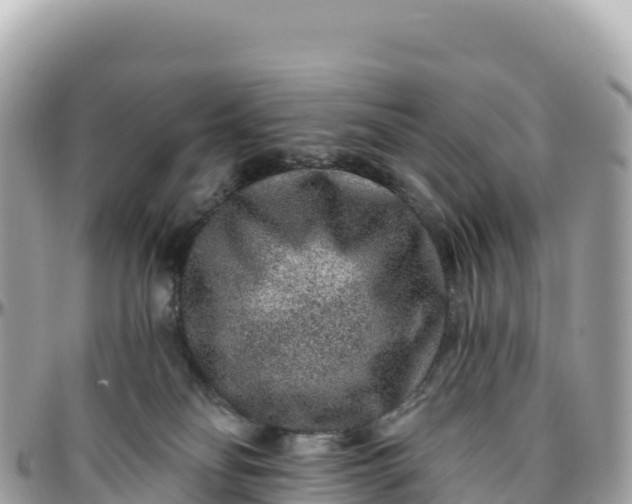 X0000095880134200801251148