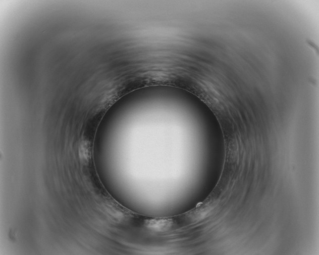 X0000095880135200801251148