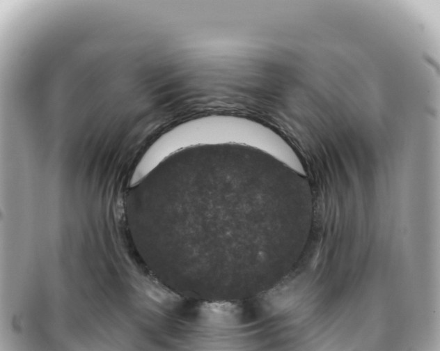 X0000095880137200801251148