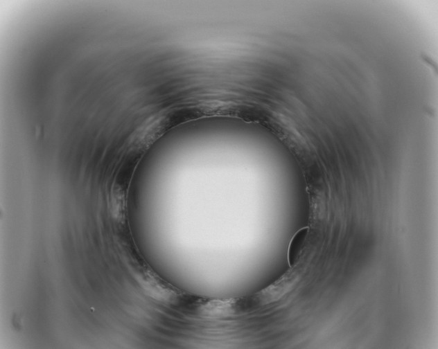 X0000095880138200801251148