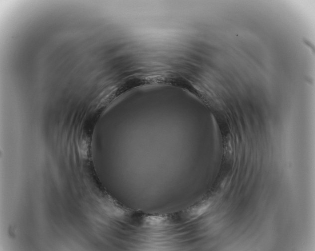 X0000095880139200801251148