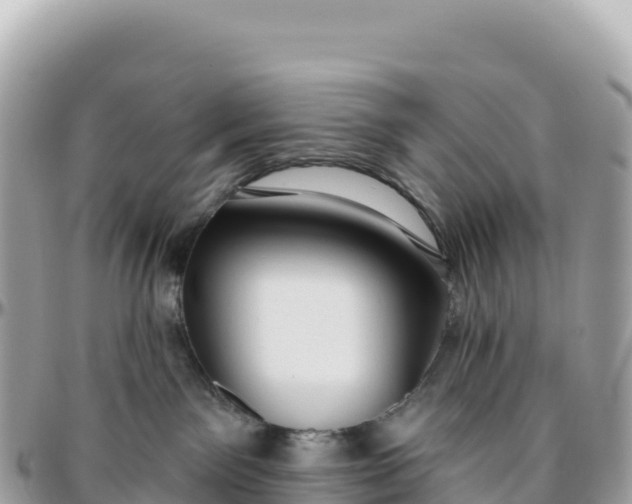 X0000095880141200801251148