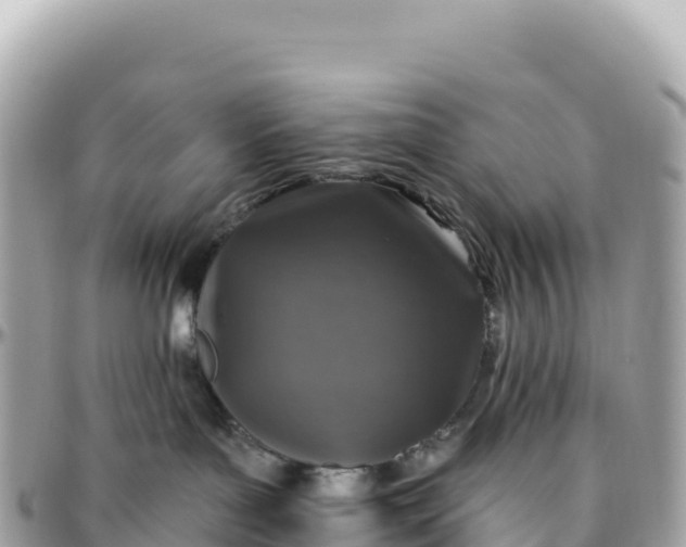 X0000095880143200801251148