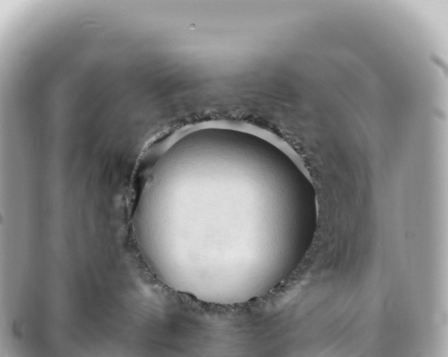 X0000095880144200801251148