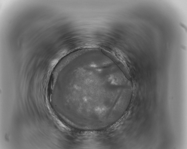 X0000095880145200801251148