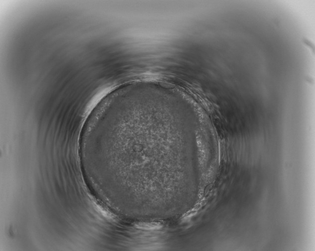 X0000095880147200801251148