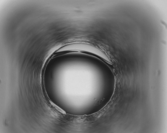 X0000095880148200801251148