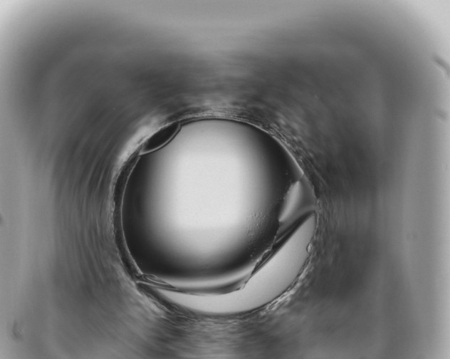 X0000095880150200801251148