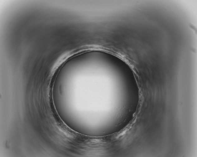 X0000095880151200801251148