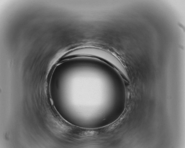 X0000095880152200801251148