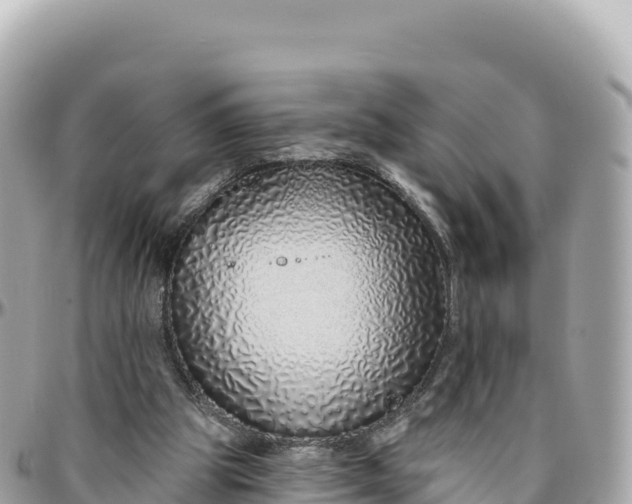 X0000095880153200801251148