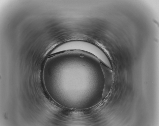 X0000095880154200801251148