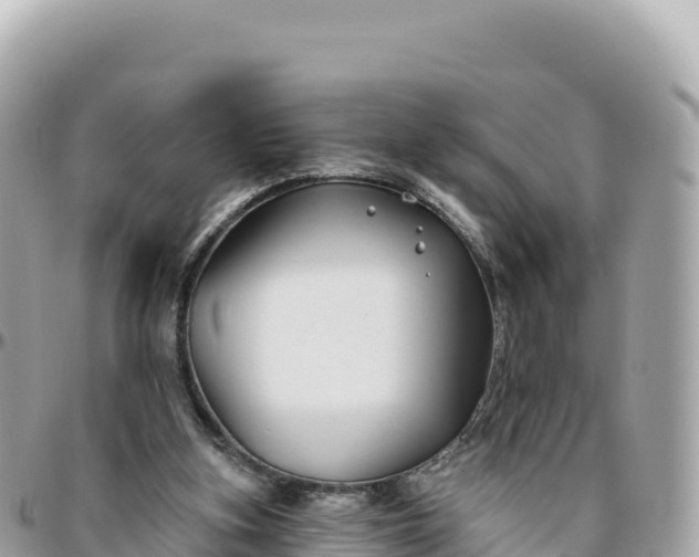 X0000095880155200801251148