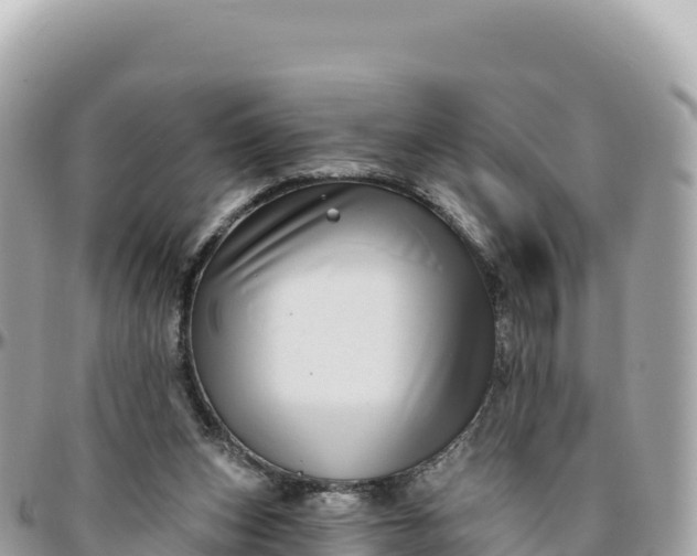 X0000095880159200801251148