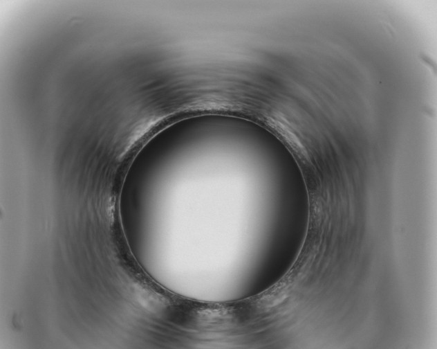 X0000095880160200801251148