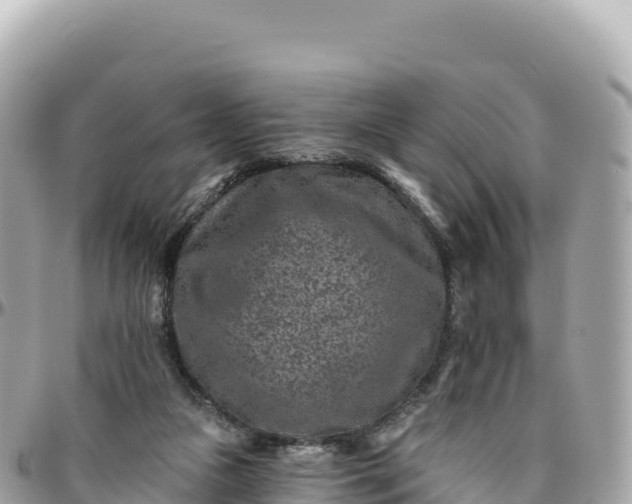 X0000095880161200801251148