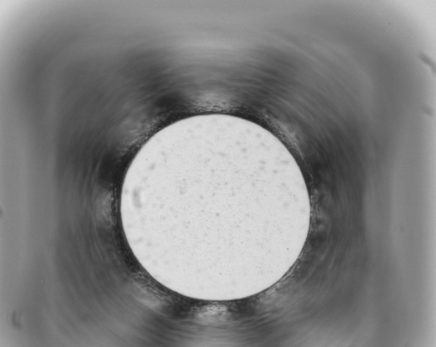 X0000095880162200801251148