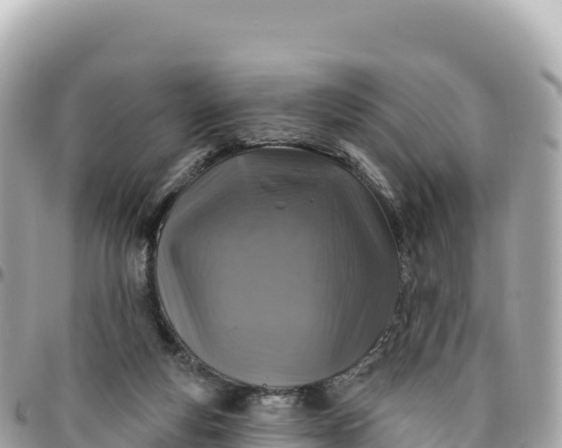 X0000095880163200801251148