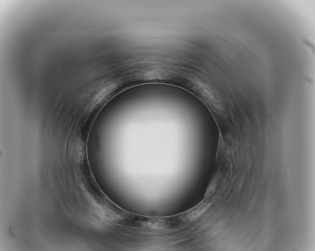 X0000095880164200801251148