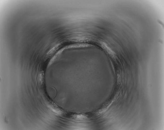 X0000095880165200801251148