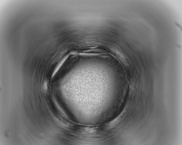 X0000095880166200801251148