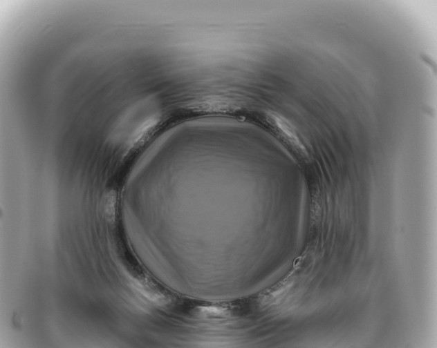 X0000095880167200801251148