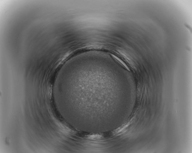 X0000095880168200801251148