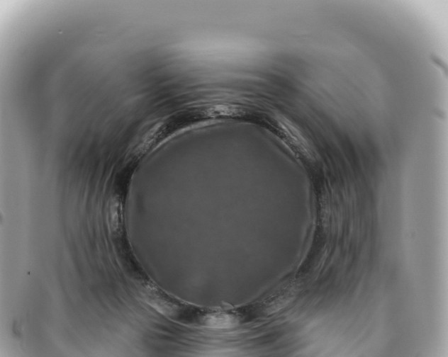 X0000095880169200801251148