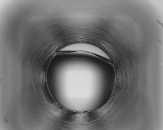 X0000095880172200801251148