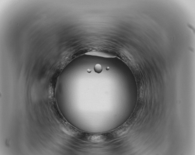 X0000095880173200801251148