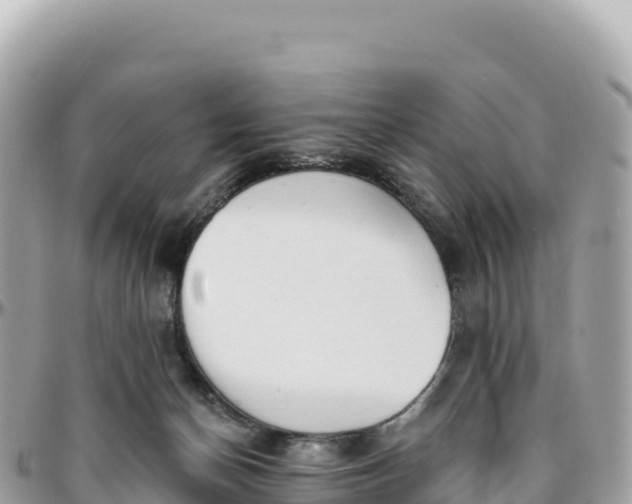 X0000095880174200801251148