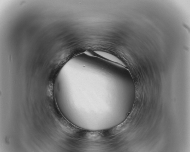 X0000095880175200801251148