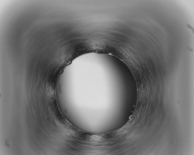 X0000095880176200801251148