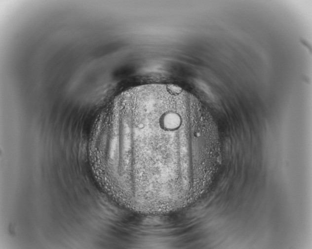 X0000095880177200801251148