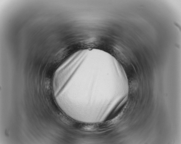 X0000095880178200801251148