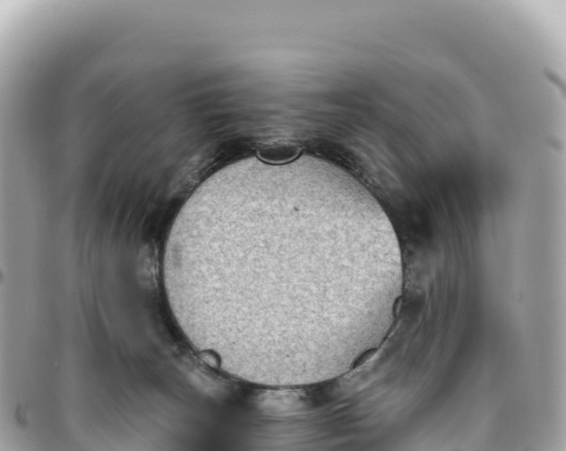 X0000095880179200801251148