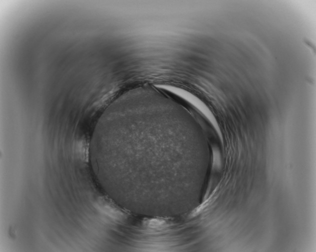 X0000095880180200801251148