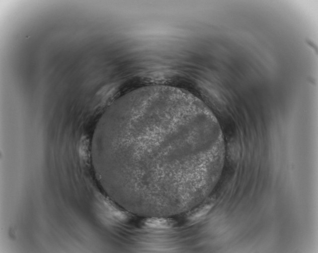 X0000095880181200801251148