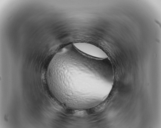 X0000095880185200801251148