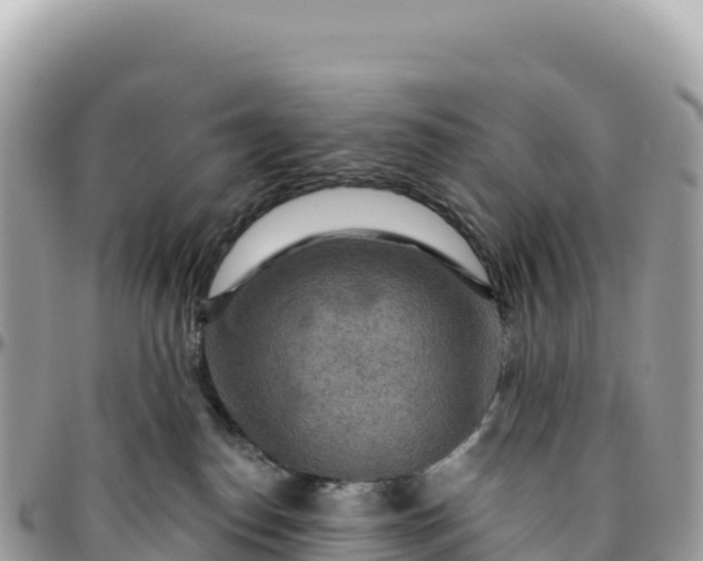 X0000095880186200801251148